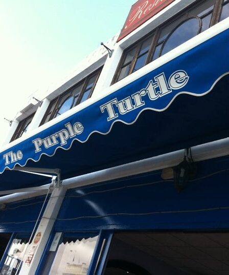 The_Purple_Turtle-2023-25-10--12-56-35-211.jpg